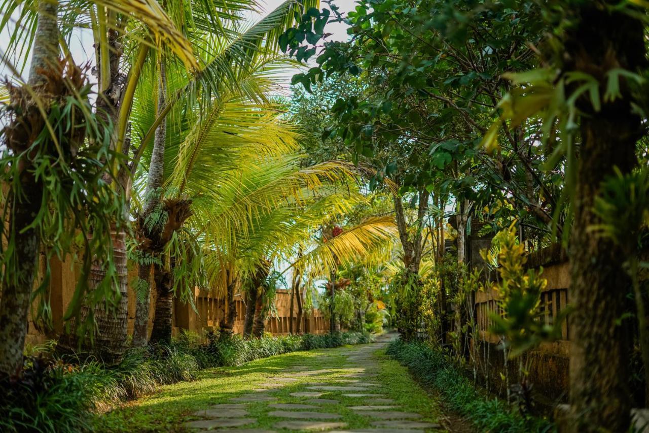 Villa Jj And Spa Ubud ภายนอก รูปภาพ