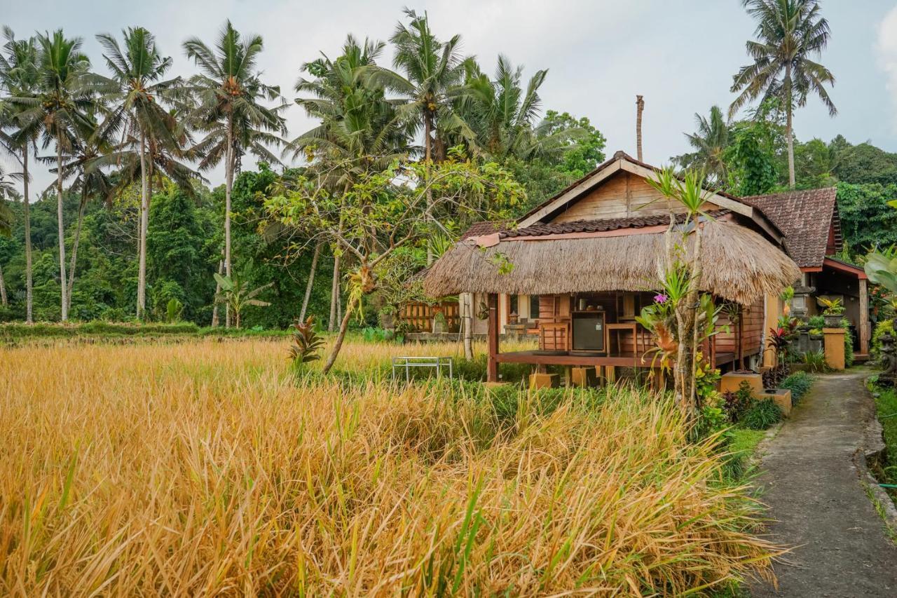 Villa Jj And Spa Ubud ภายนอก รูปภาพ