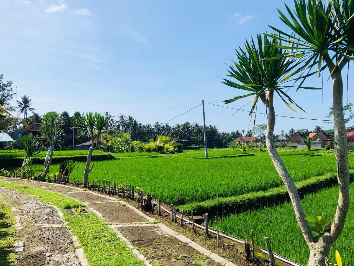 Villa Jj And Spa Ubud ภายนอก รูปภาพ