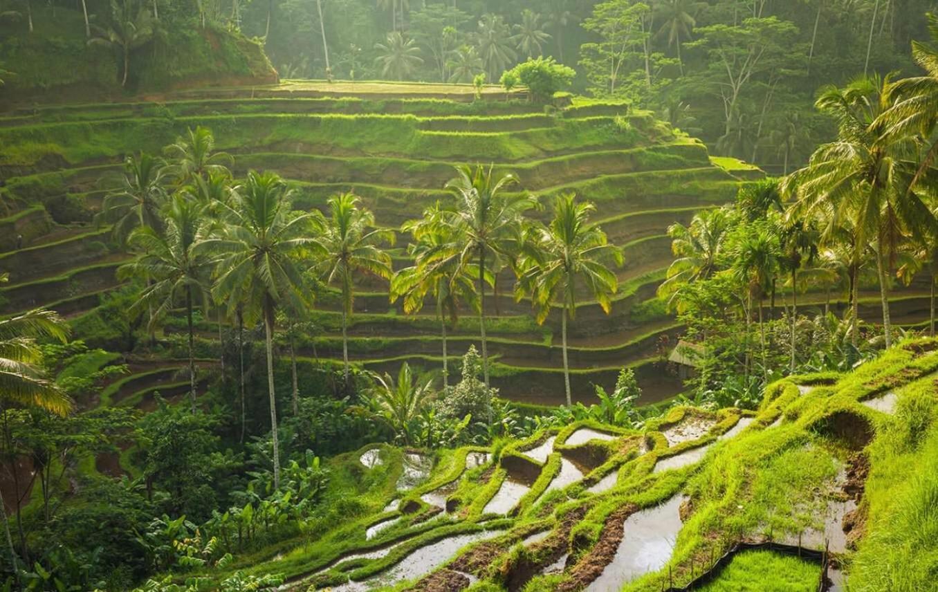 Villa Jj And Spa Ubud ภายนอก รูปภาพ